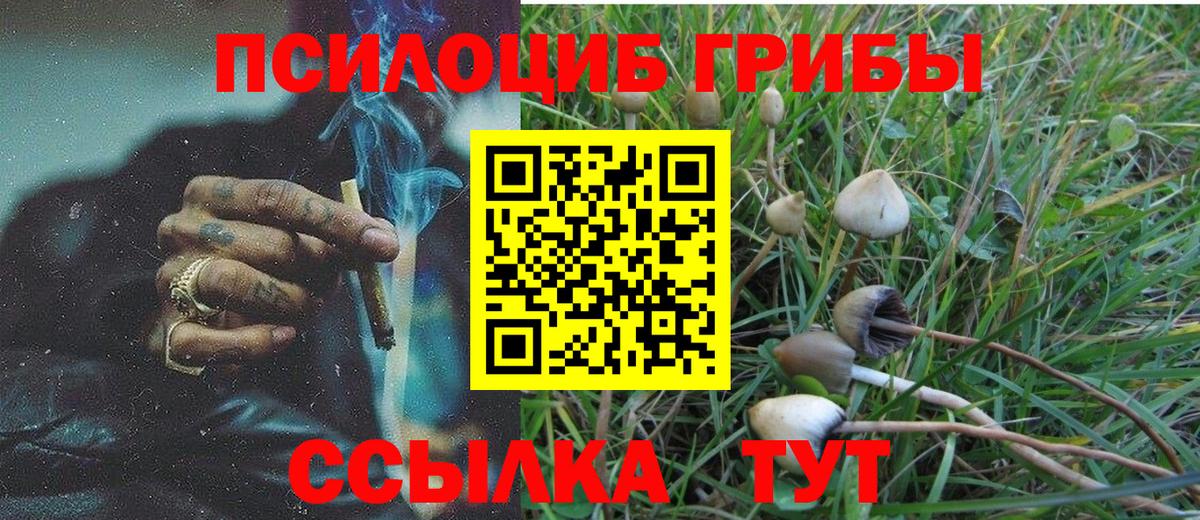 Псилоцибиновые грибы мицелий  Вход с VPN  купить закладку  Иркутск 